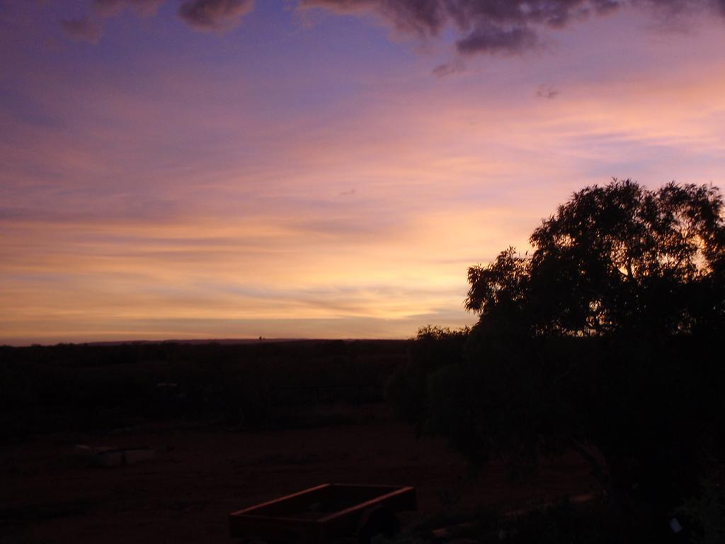 Ningaloo Bed And Breakfast Exmouth Extérieur photo